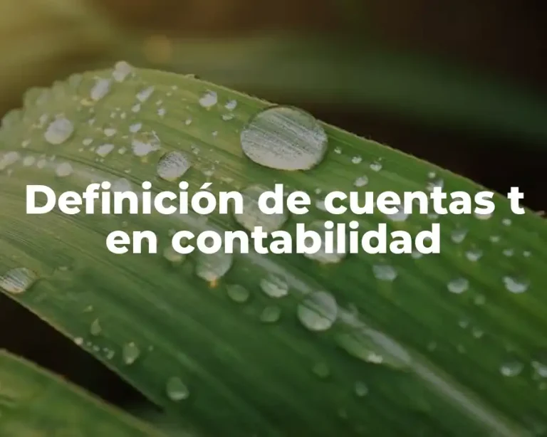 Definición de cuentas t en contabilidad