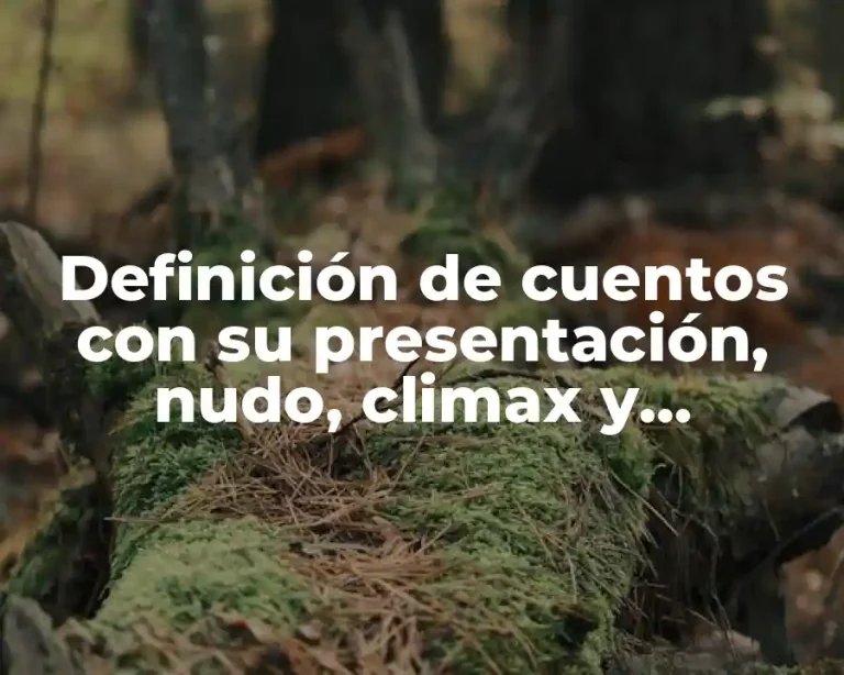Definición de cuentos con su presentación, nudo, climax y desenlace