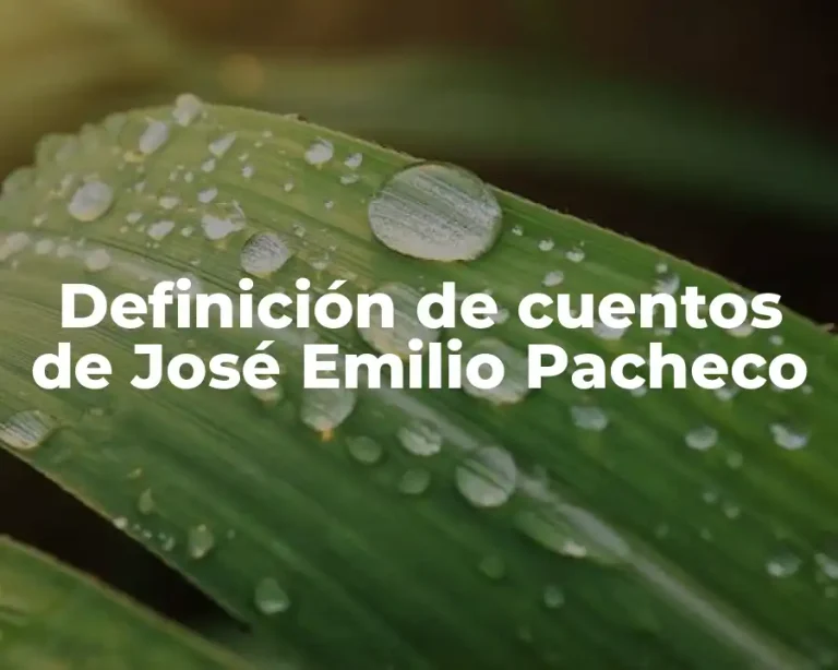 Definición de cuentos de José Emilio Pacheco