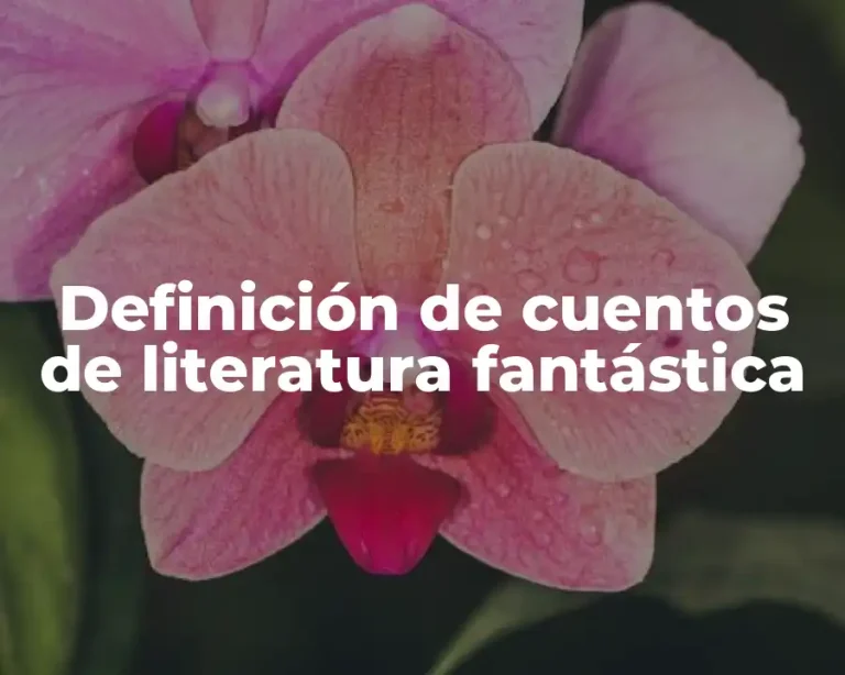 Definición de cuentos de literatura fantástica