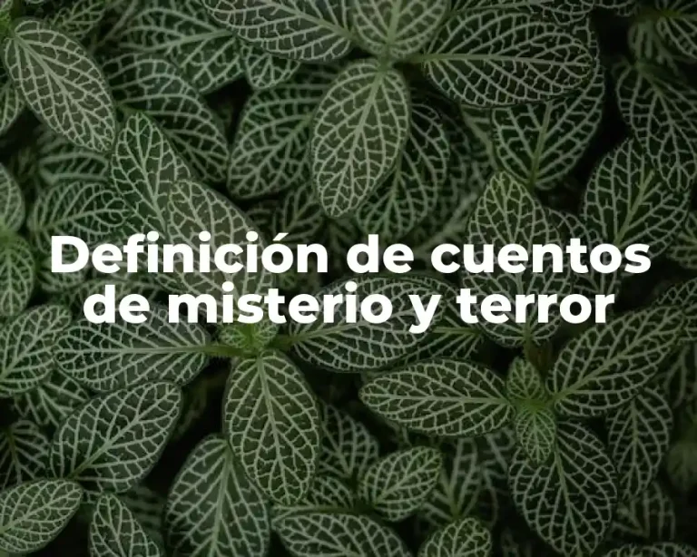 Definición de cuentos de misterio y terror