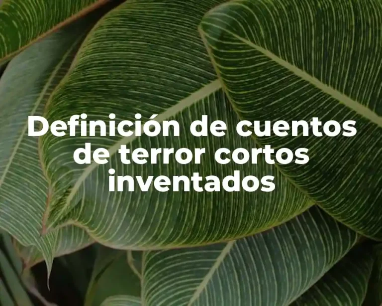 Definición de cuentos de terror cortos inventados