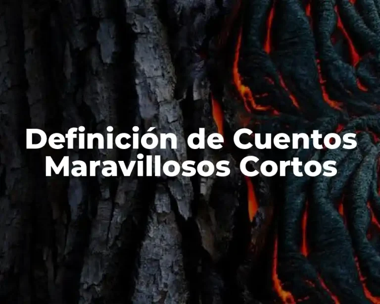 Definición de Cuentos Maravillosos Cortos