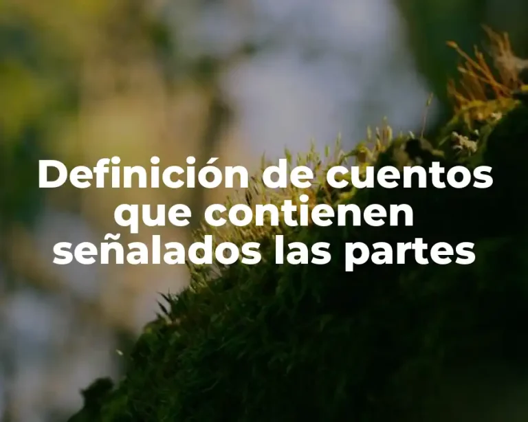 Definición de cuentos que contienen señalados las partes