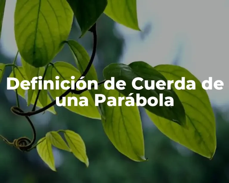 Definición de Cuerda de una Parábola