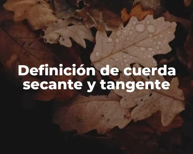 Definición de cuerda secante y tangente