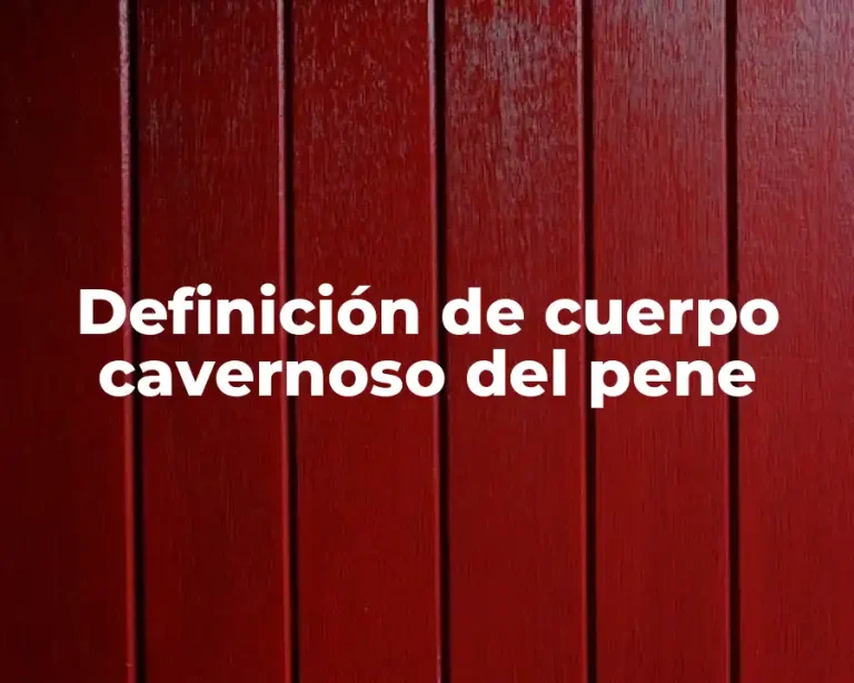 Definición de cuerpo cavernoso del pene