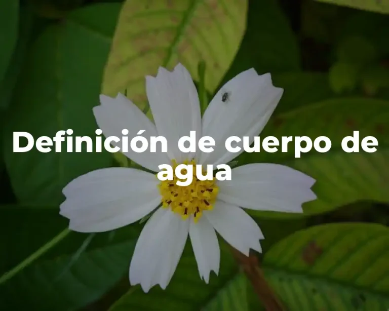 Definición de cuerpo de agua