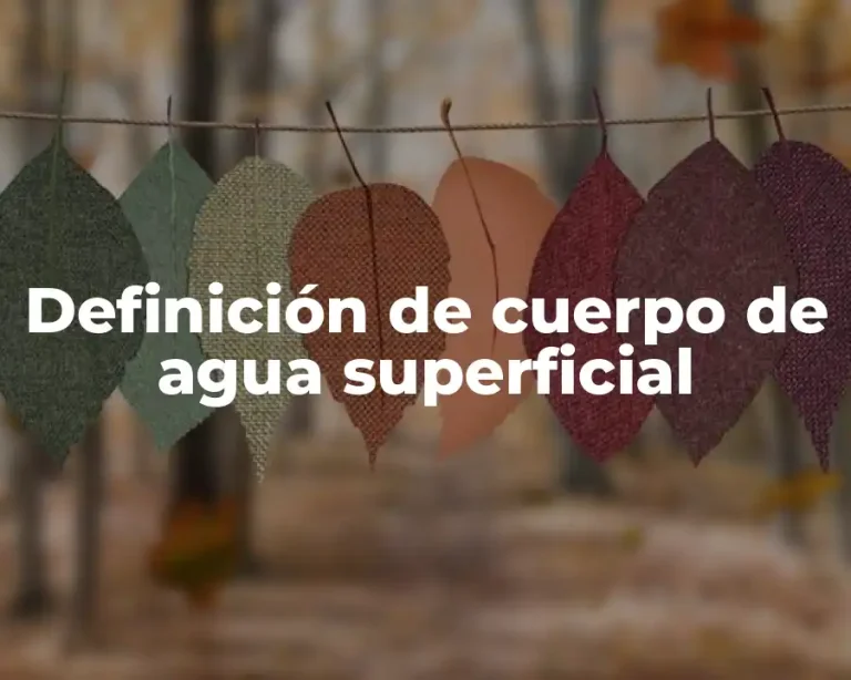 Definición de cuerpo de agua superficial