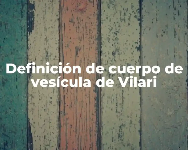 Definición de cuerpo de vesícula de Vilari