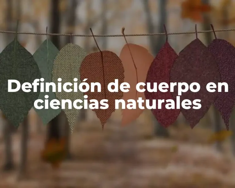 Definición de cuerpo en ciencias naturales
