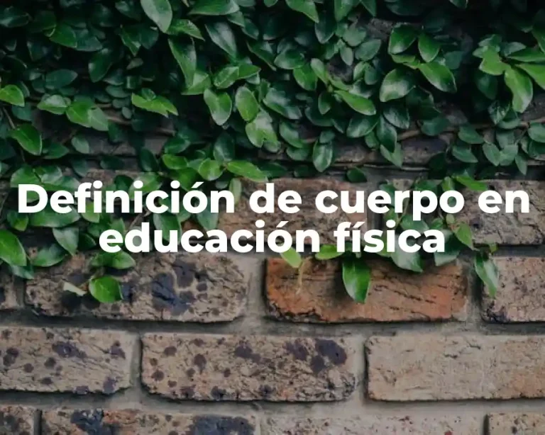 Definición de cuerpo en educación física
