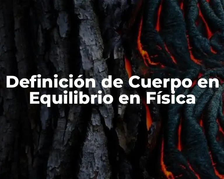Definición de Cuerpo en Equilibrio en Física