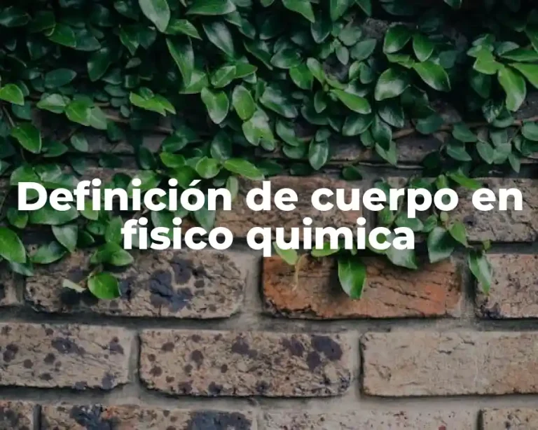 Definición de cuerpo en fisico quimica