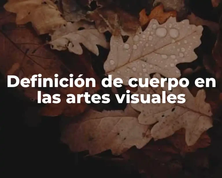 Definición de cuerpo en las artes visuales