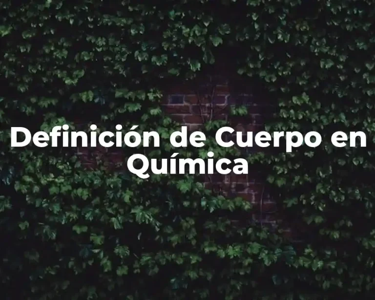 Definición de Cuerpo en Química