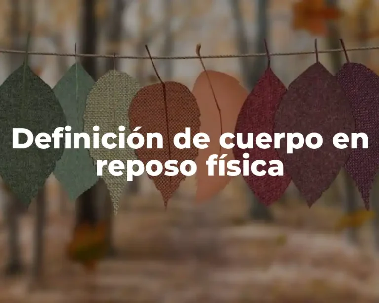 Definición de cuerpo en reposo física