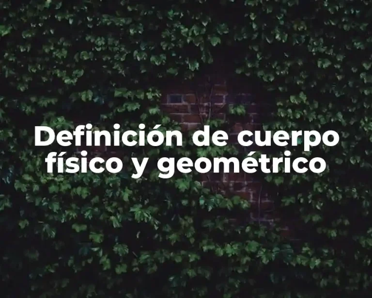 Definición de cuerpo físico y geométrico
