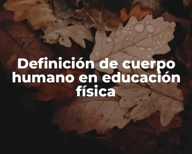Definición de cuerpo humano en educación física