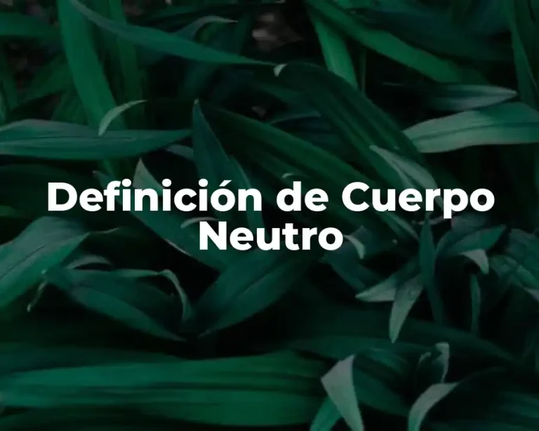 Definición de Cuerpo Neutro