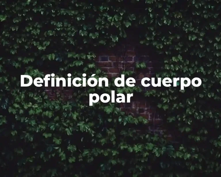Definición de cuerpo polar