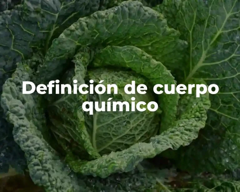 Definición de cuerpo químico