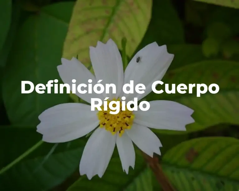 Definición de Cuerpo Rígido