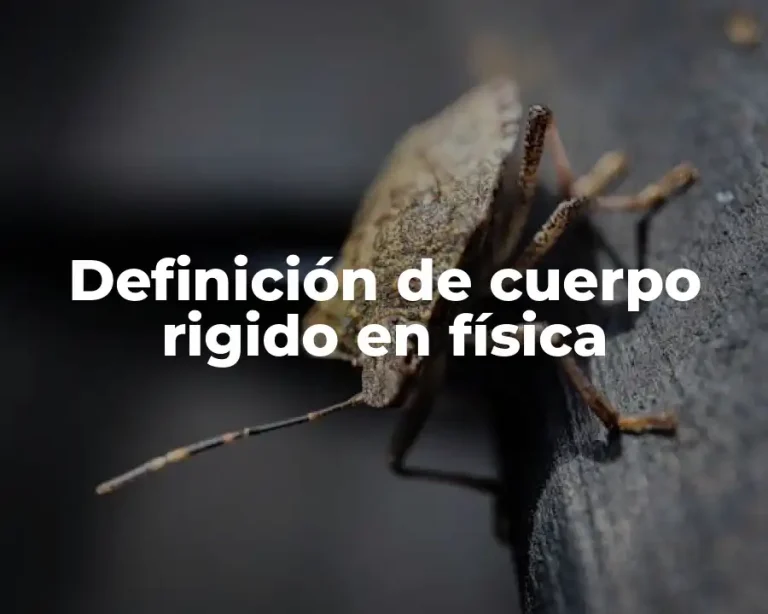 Definición de cuerpo rigido en física