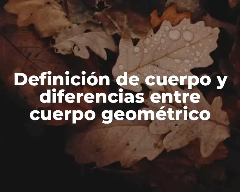 Definición de cuerpo y diferencias entre cuerpo geométrico