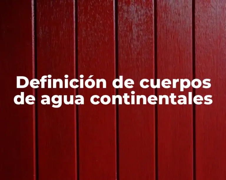 Definición de cuerpos de agua continentales