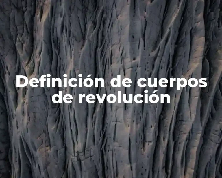 Definición de cuerpos de revolución