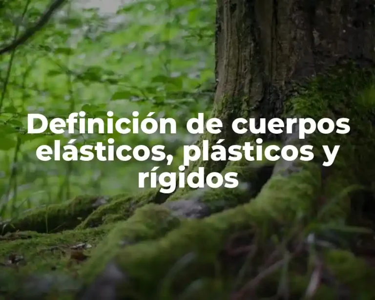 Definición de cuerpos elásticos, plásticos y rígidos