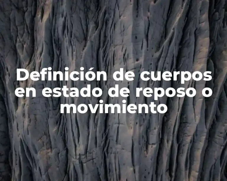 Definición de cuerpos en estado de reposo o movimiento