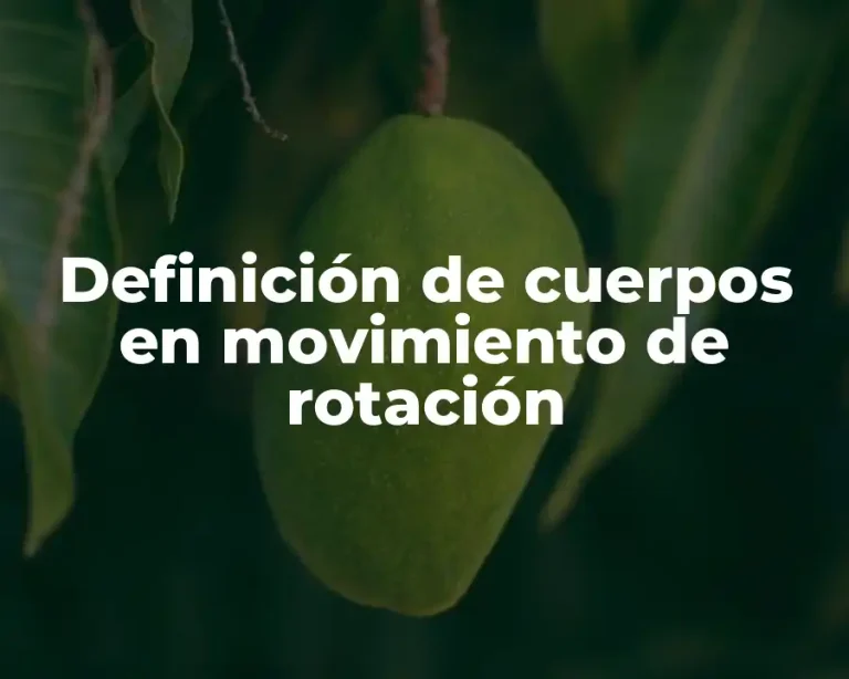 Definición de cuerpos en movimiento de rotación