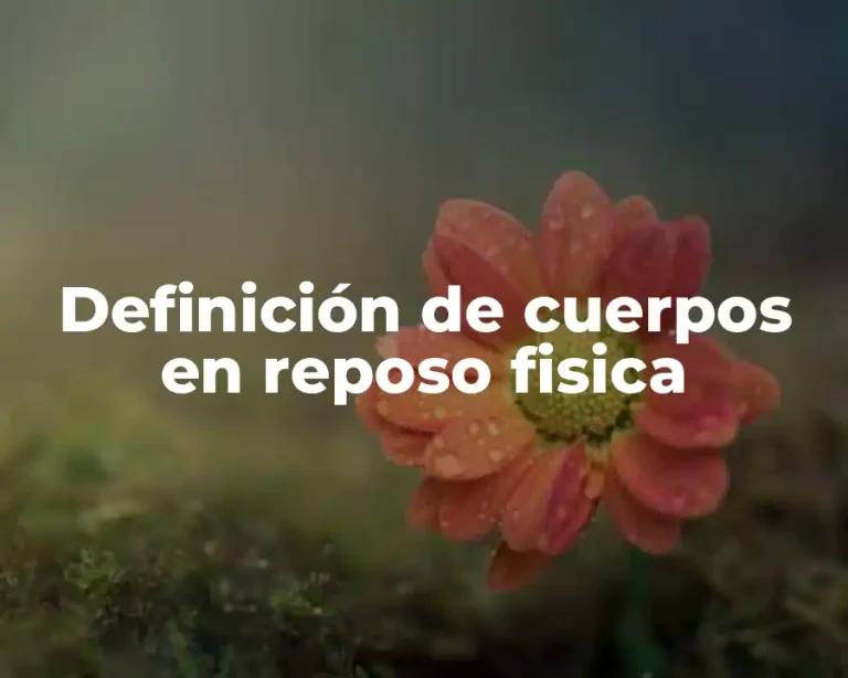 Definición de cuerpos en reposo fisica