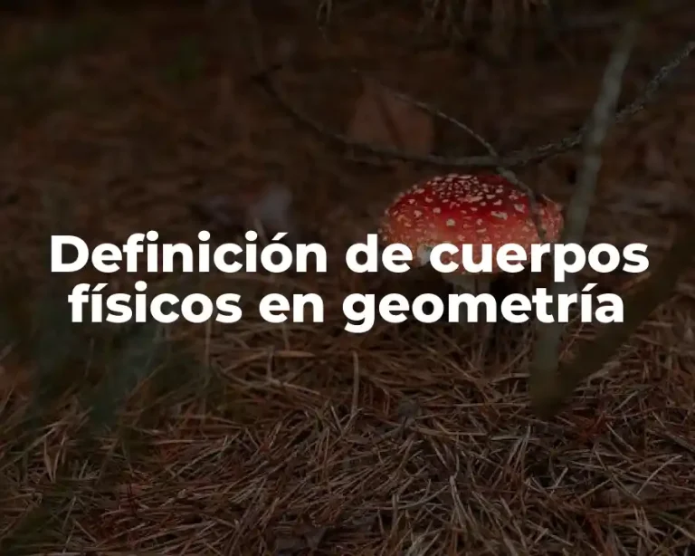 Definición de cuerpos físicos en geometría