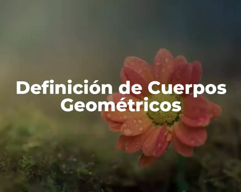 Definición de Cuerpos Geométricos