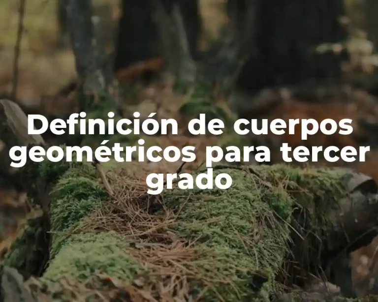 Definición de cuerpos geométricos para tercer grado