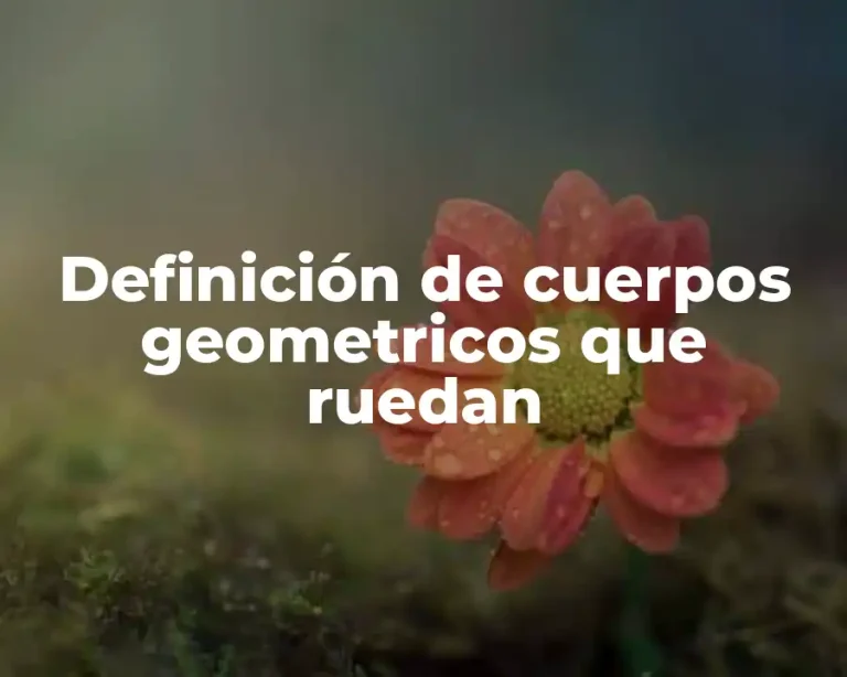 Definición de cuerpos geometricos que ruedan