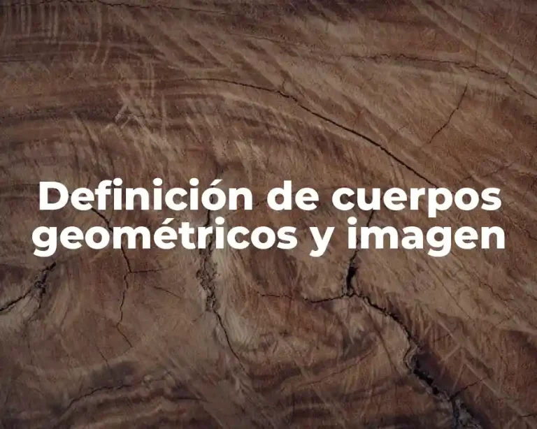 Definición de cuerpos geométricos y imagen