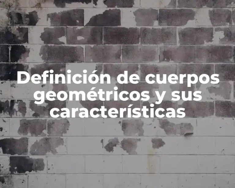 Definición de cuerpos geométricos y sus características