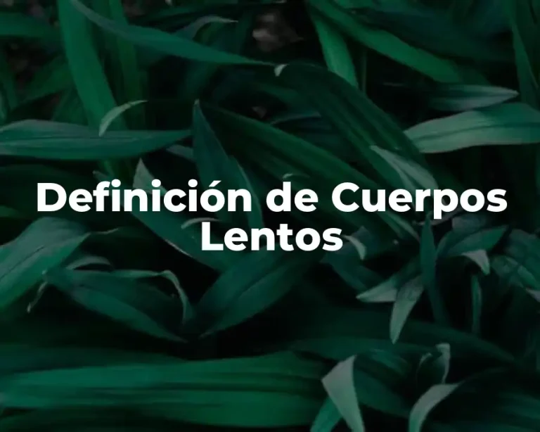 Definición de Cuerpos Lentos