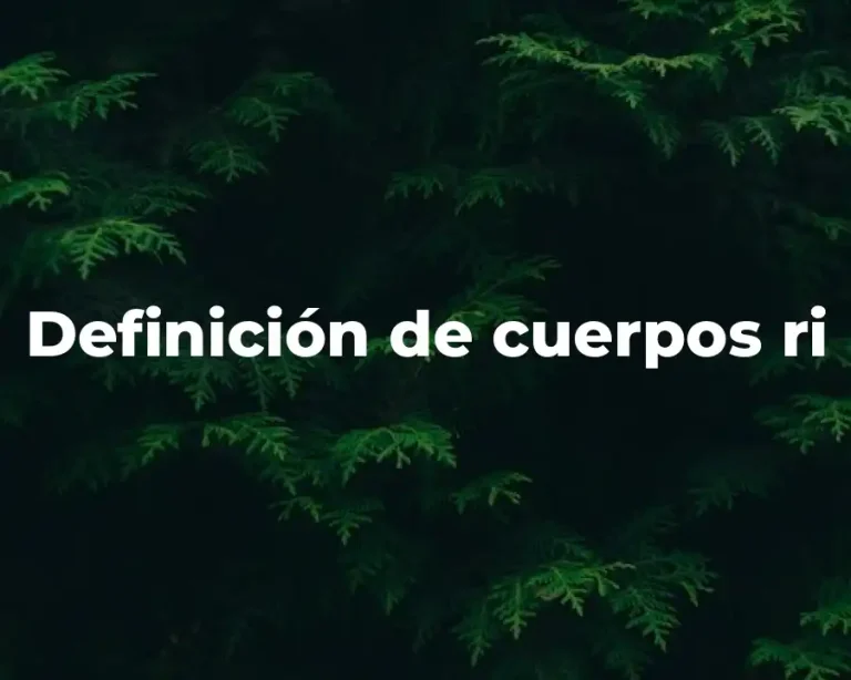 Definición de cuerpos ri