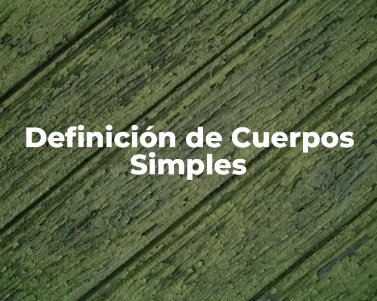 Definición de Cuerpos Simples