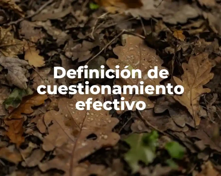 Definición de cuestionamiento efectivo