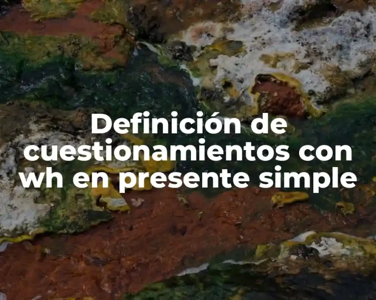 Definición de cuestionamientos con wh en presente simple