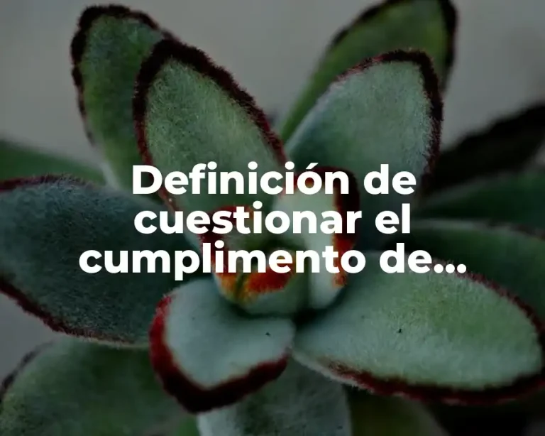 Definición de cuestionar el cumplimento de justicia