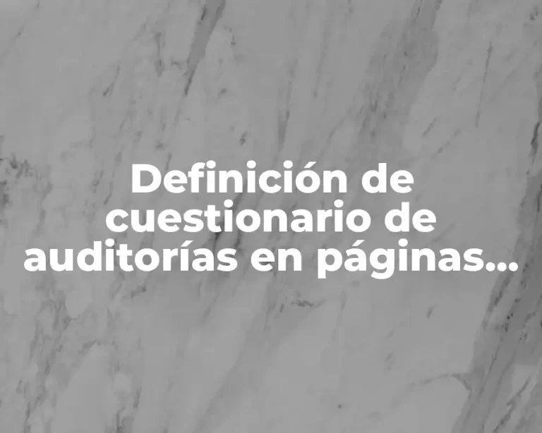Definición de cuestionario de auditorías en páginas web