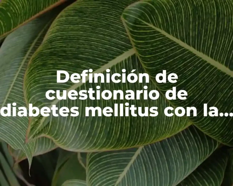 Definición de cuestionario de diabetes mellitus con la escala LinkeK