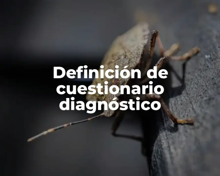 Definición de cuestionario diagnóstico